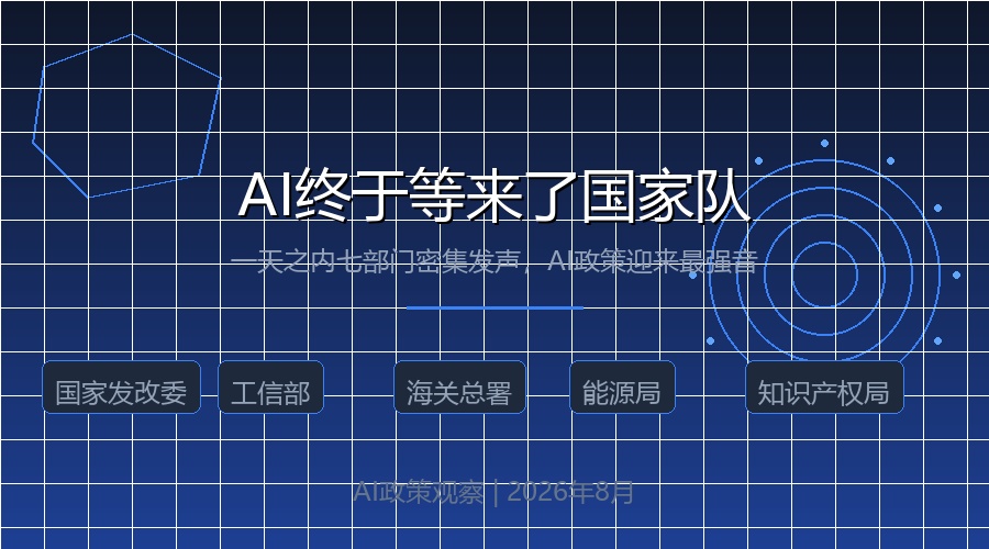 AI政策 国家队