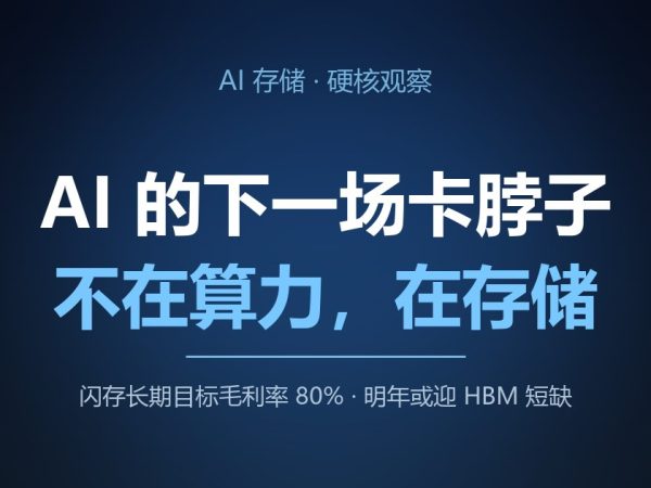 AI 的下一场卡脖子，不在算力，在存储