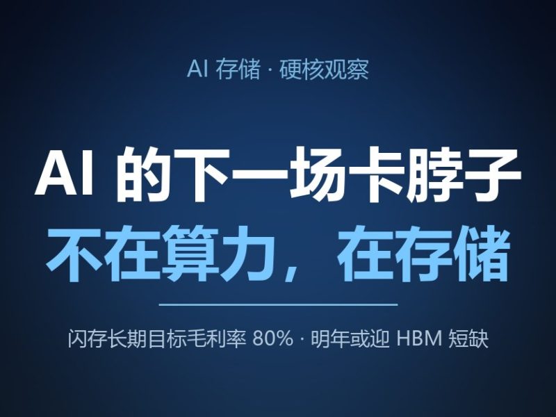 AI 的下一场卡脖子，不在算力，在存储