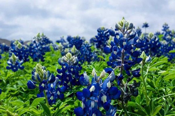 苹果高薪留不住他，这个90后偏要回国从零开始