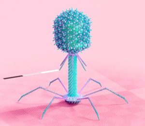 AI第一次当上「病毒设计师」，专杀耐药菌