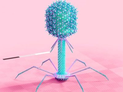 AI第一次当上「病毒设计师」，专杀耐药菌