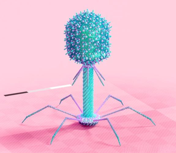 噬菌体结构渲染图