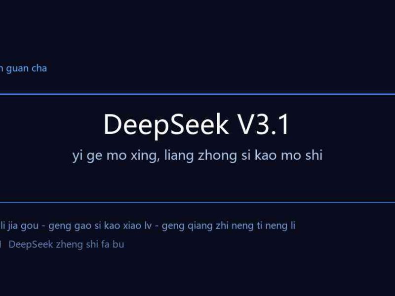 DeepSeek V3.1 来了：一个模型，两种脑子