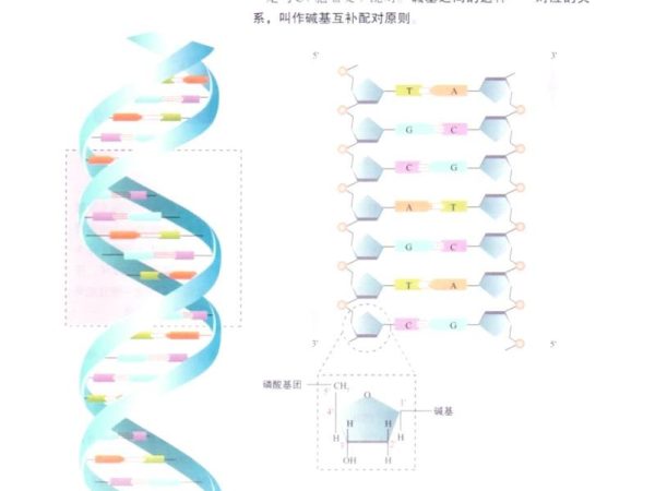 谷歌DeepMind放了个大招：90亿种基因突变，它全预测完了