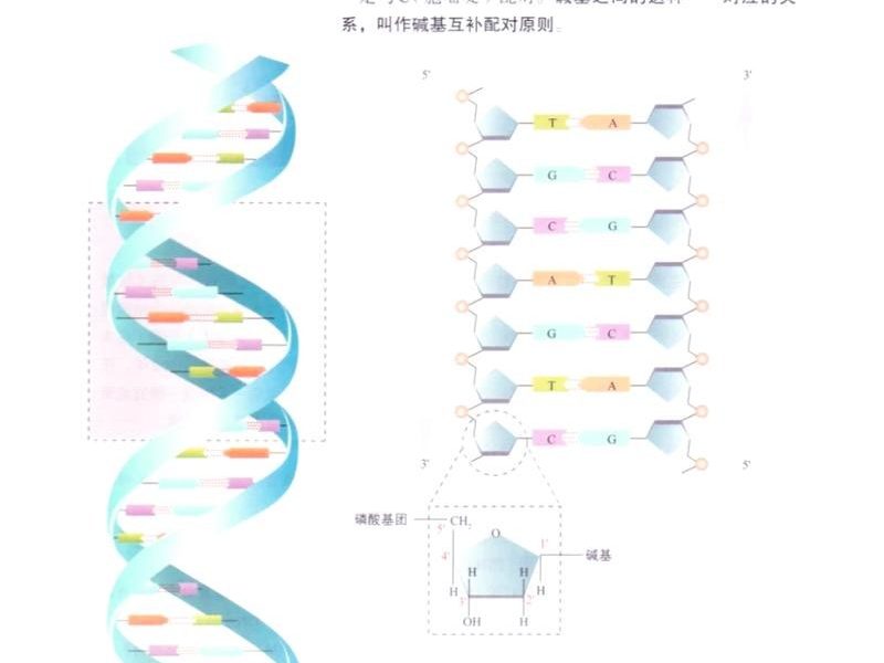 谷歌DeepMind放了个大招：90亿种基因突变，它全预测完了