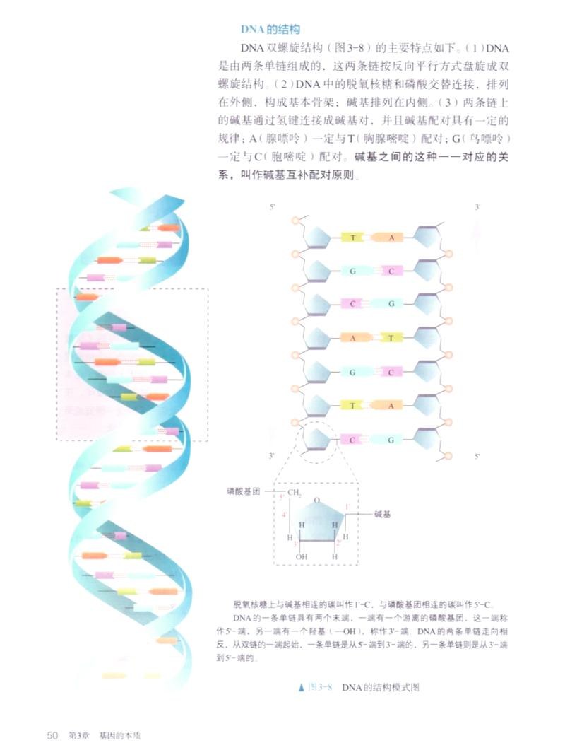 AlphaGenome Atlas 基因图谱